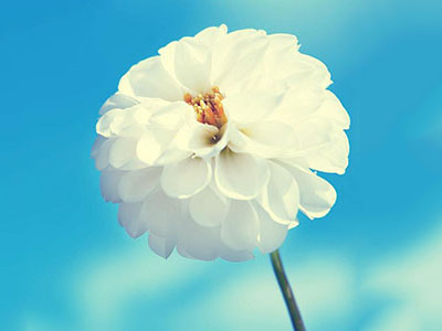 55555555555555555555