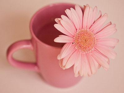 777777777777777777777777