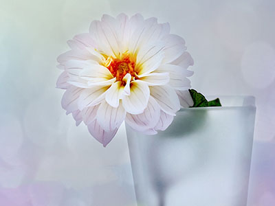 对于《伤寒论》的研读，必须遵守三个原则