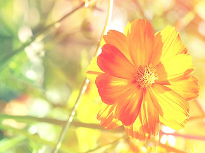 中医院校毕业生，怎样尽快的掌握临床操作技能？