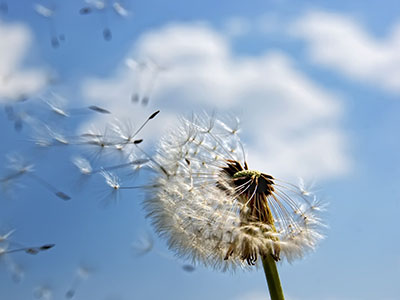 22222222222222222222222